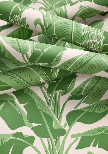 Thibaut - BANANA TREE Wallpaper - Palm Grove Collection