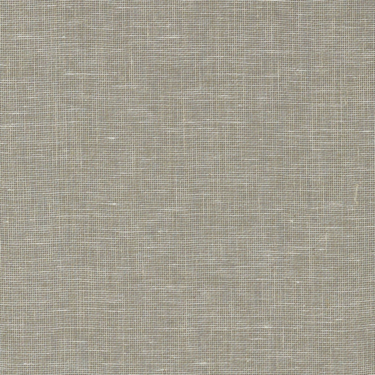 Thibaut Villa Garden Texture wallpaper - Heritage collection - Charcoal