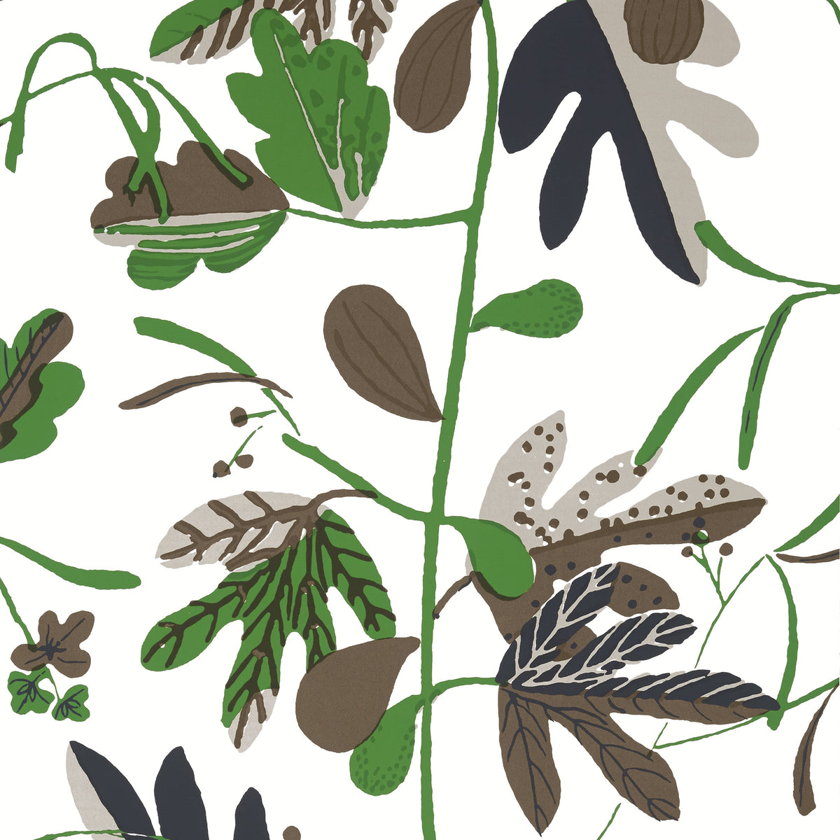 Thibaut - MATISSE LEAF Wallpaper - Kismet Collection
