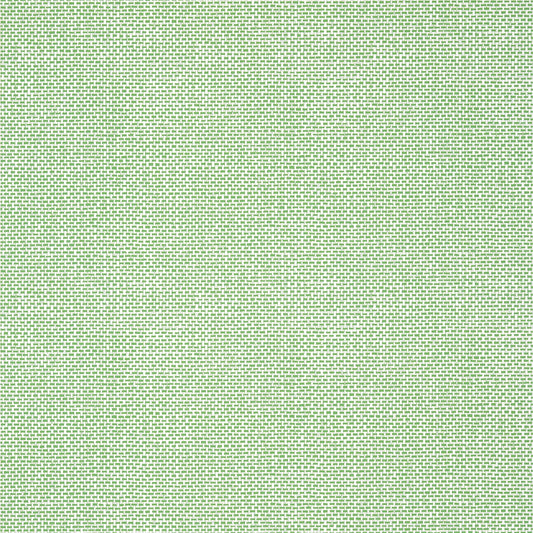 Thibaut - PALAWAN Wallpaper - Kismet Collection