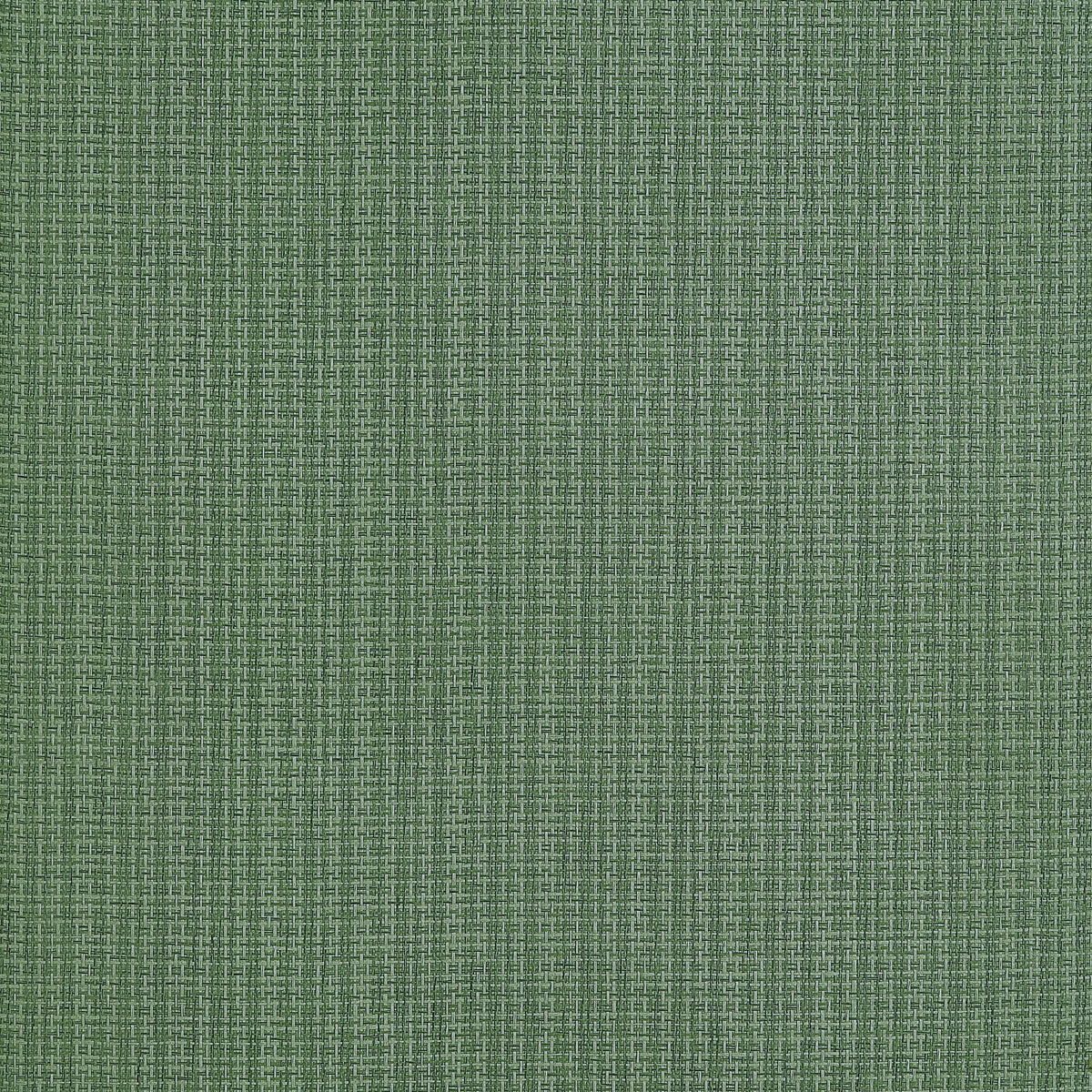 Thibaut Coastline grasscloth wallpaper - Grasscloth Resource 6 - Spruce