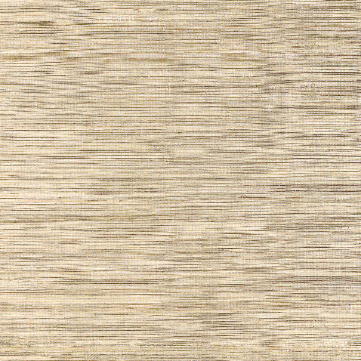 Thibaut Windward Sisal grasscloth wallpaper - Grasscloth Resource 6 - Taupe