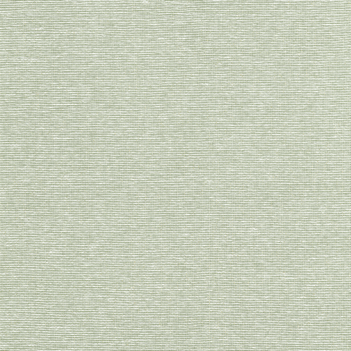 Thibaut Edward's Paper grasscloth wallpaper - Grasscloth Resource 6 - Green