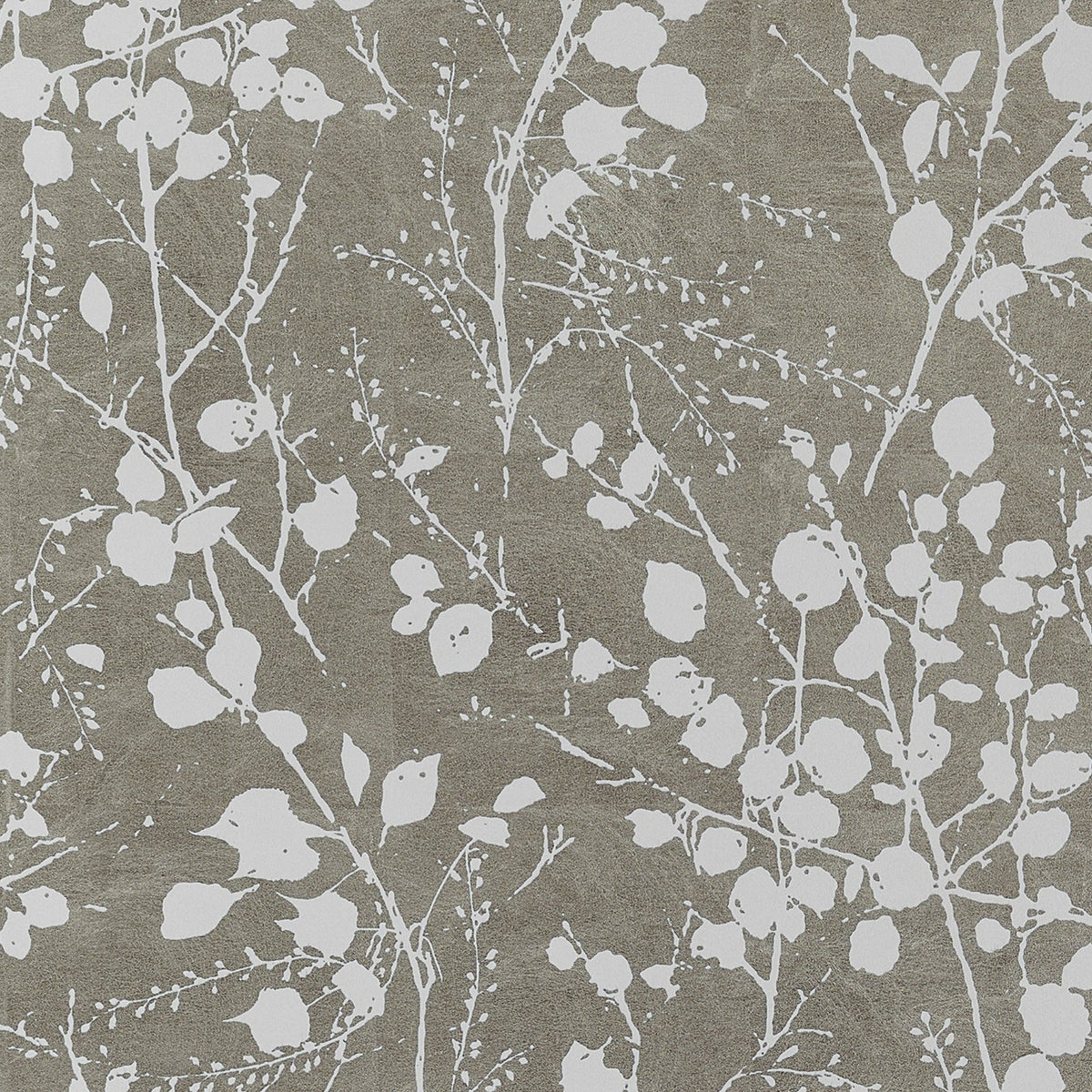 Thibaut - KATAMARI BUD Wallpaper - Texture Resource 9