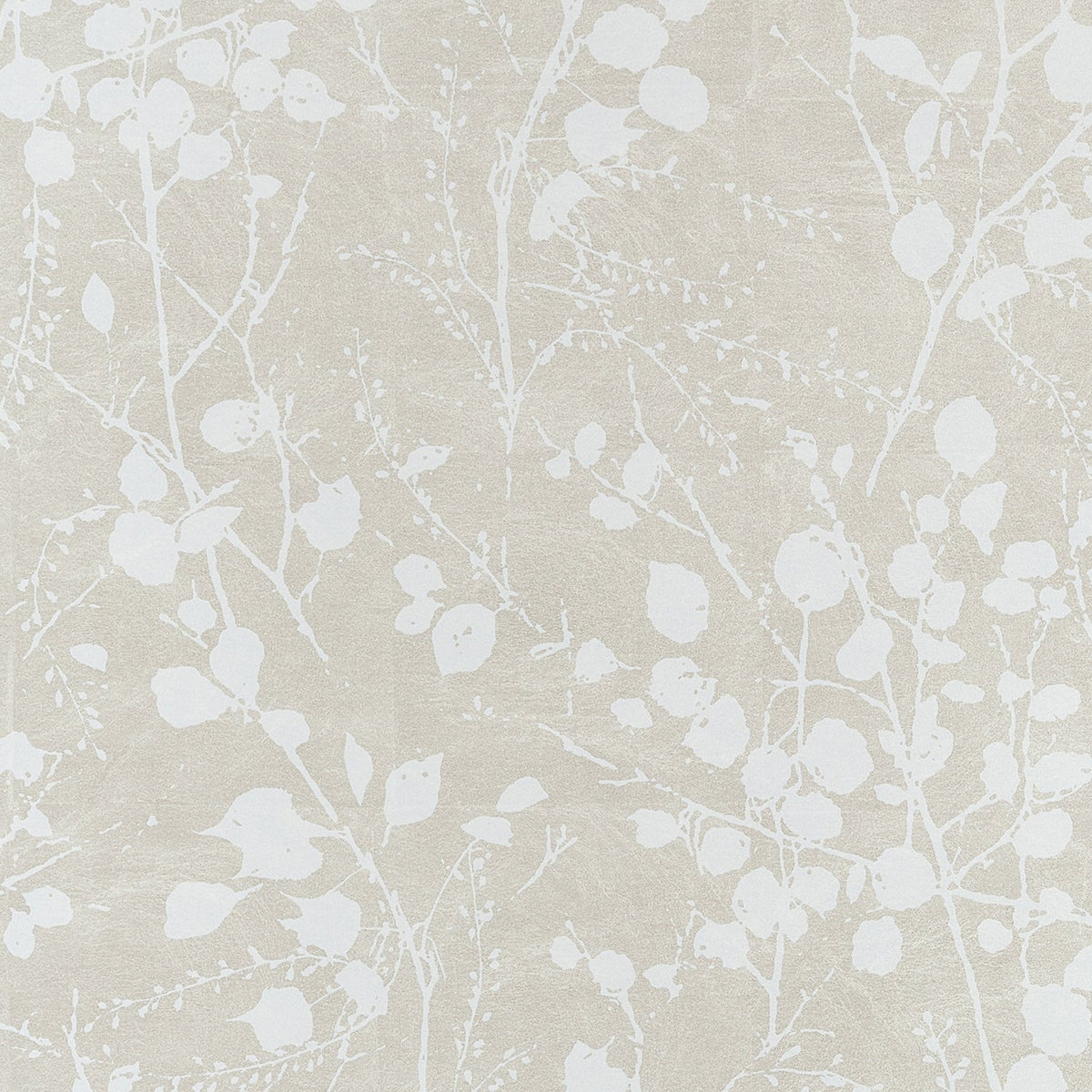 Thibaut - KATAMARI BUD Wallpaper - Texture Resource 9