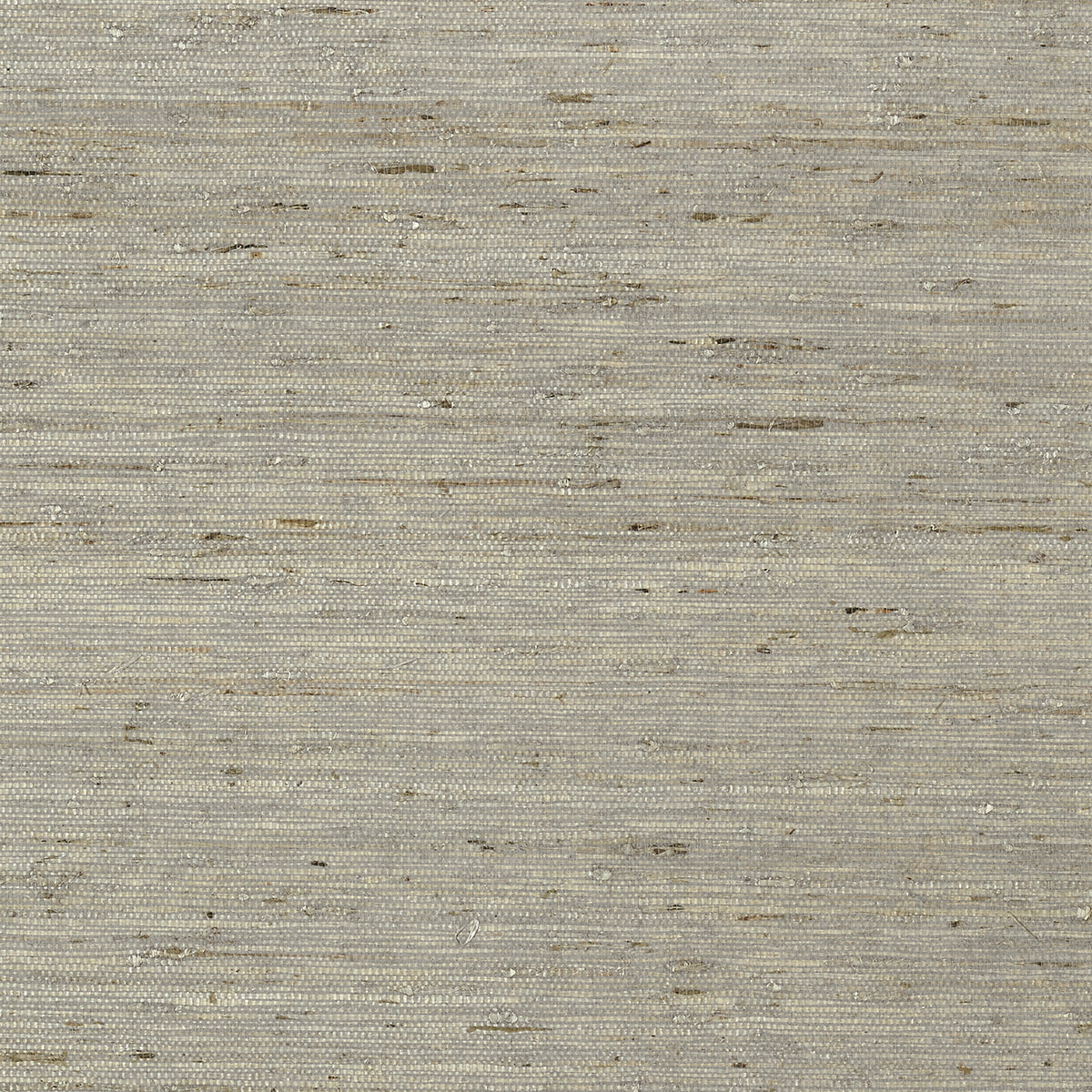 Thibaut - MARANTA ARROWROOT Wallpaper - Greenwood Collection