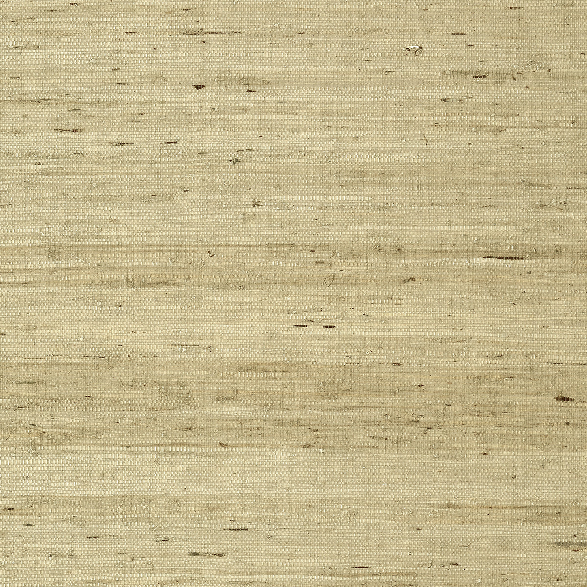 Thibaut - MARANTA ARROWROOT Wallpaper - Greenwood Collection