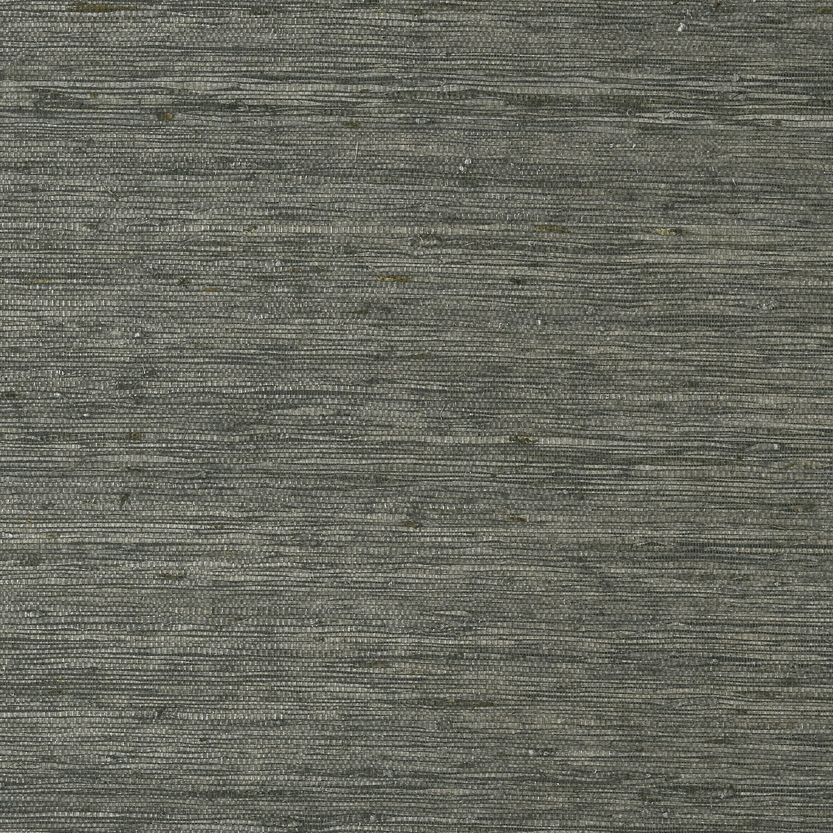 Thibaut - MARANTA ARROWROOT Wallpaper - Greenwood Collection