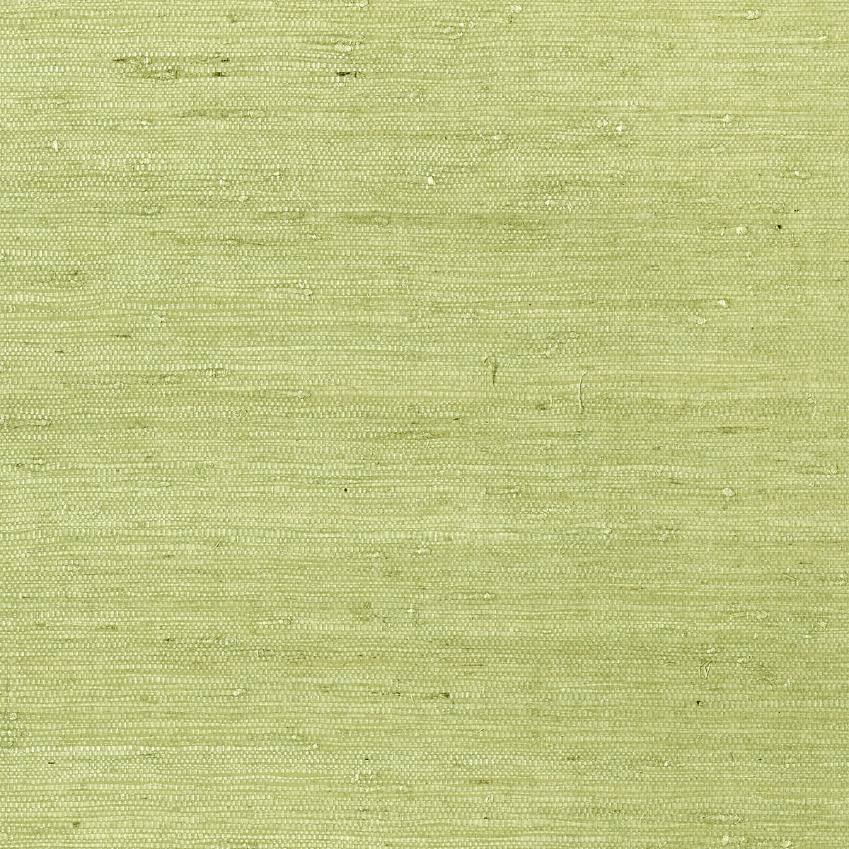 Thibaut - MARANTA ARROWROOT Wallpaper - Greenwood Collection
