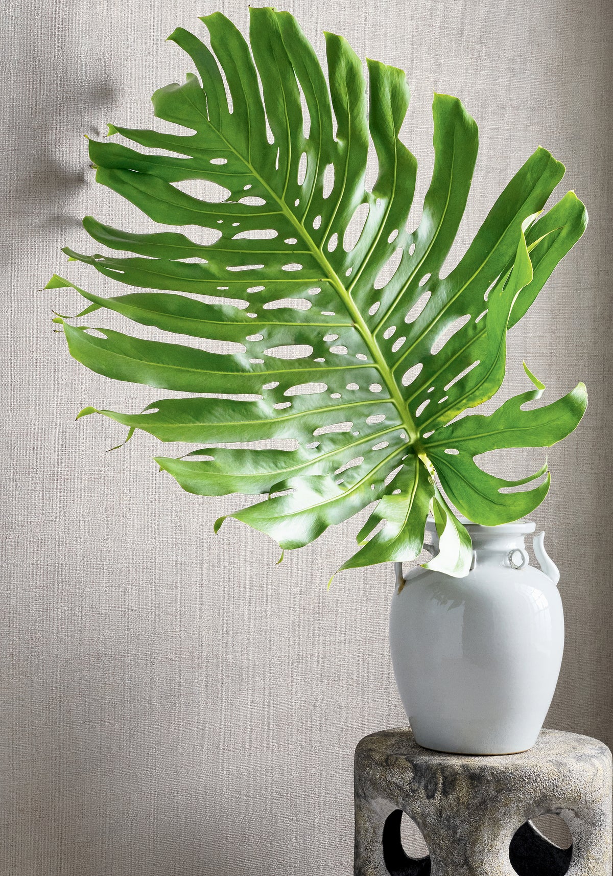 Thibaut Town Bank wallpaper - Texture Resource 9 room setting