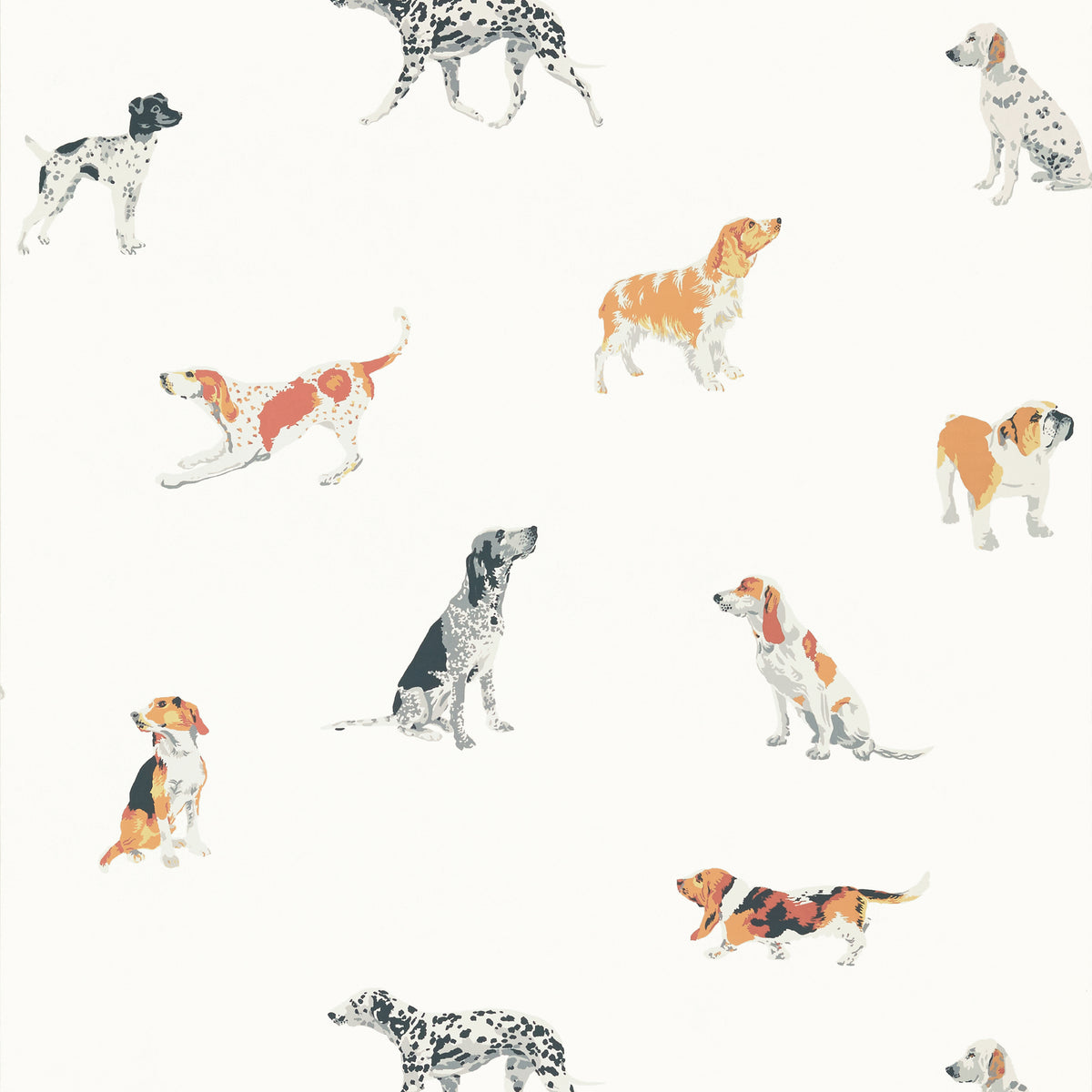 Thibaut BUDDY wallpaper, Multi