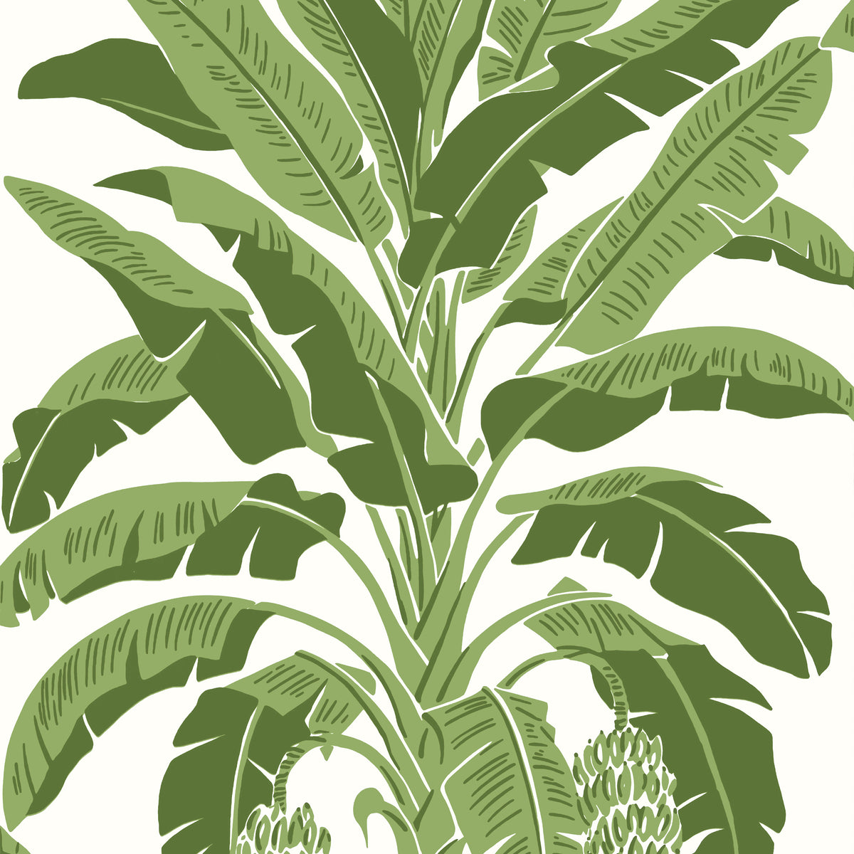 Thibaut BANANA TREE wallpaper, Green