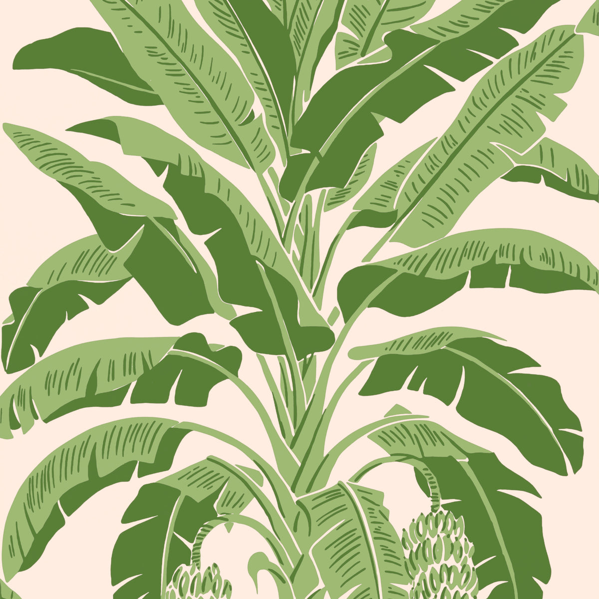 Thibaut BANANA TREE wallpaper, Pink and Green