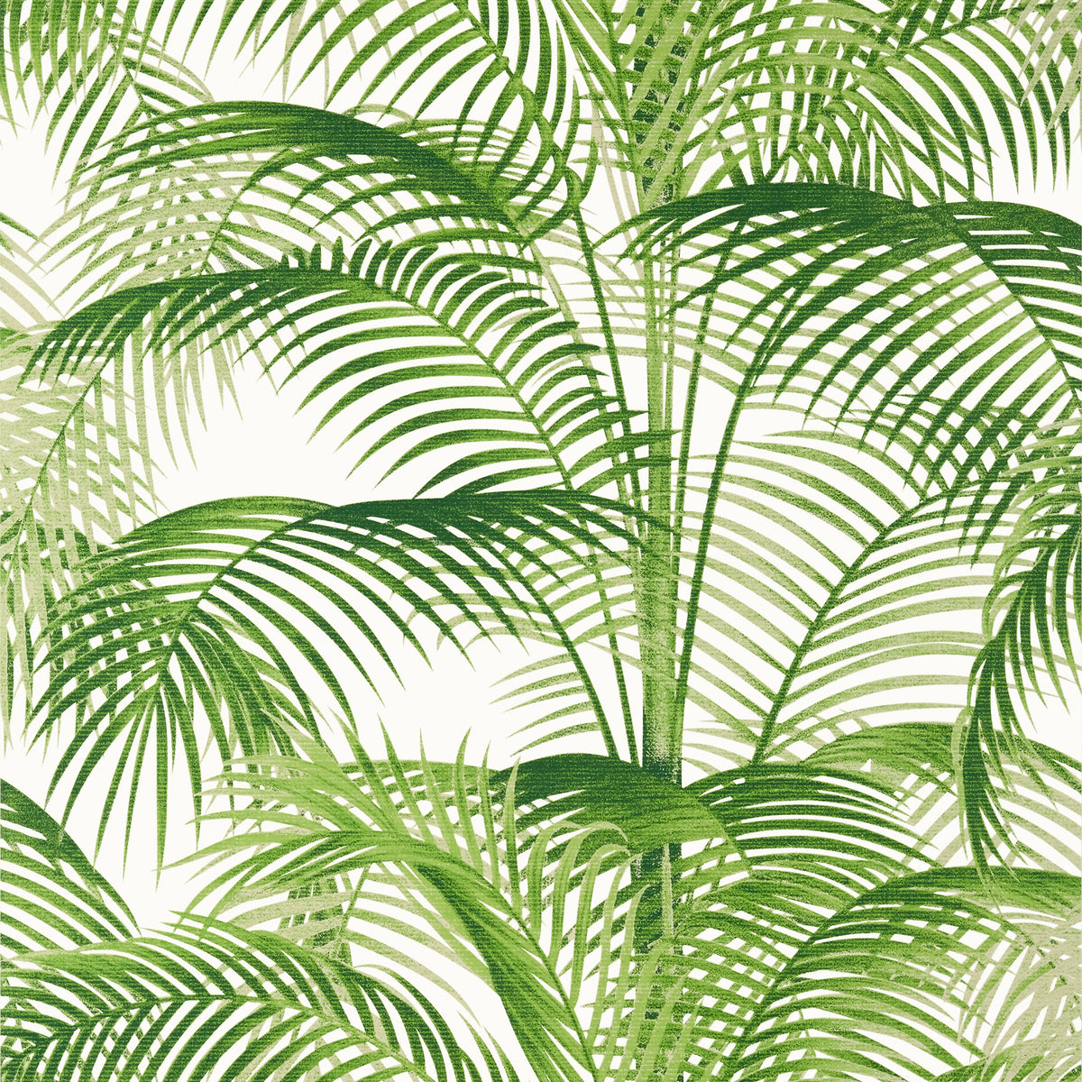 Thibaut DELRAY wallpaper, Green
