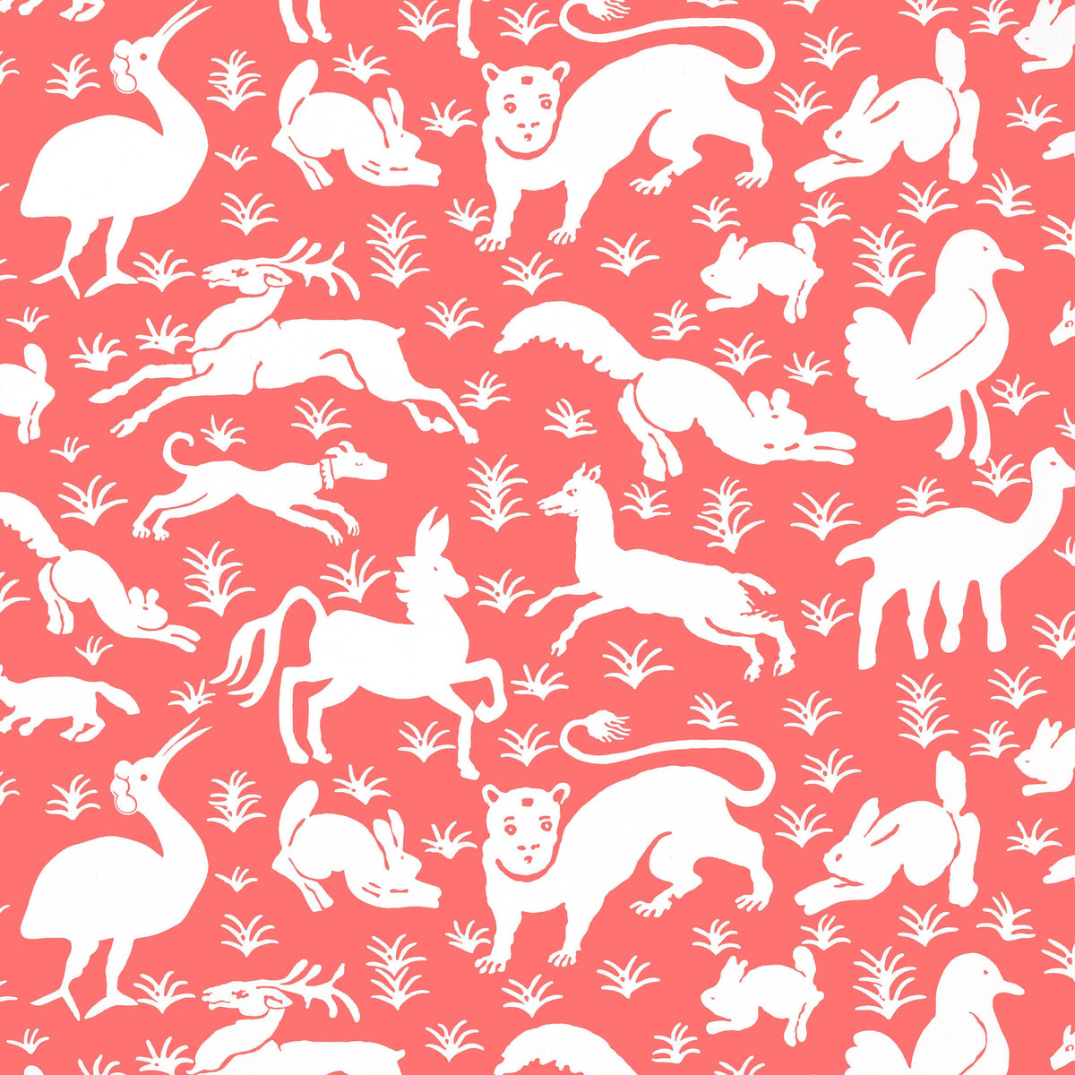 Animals