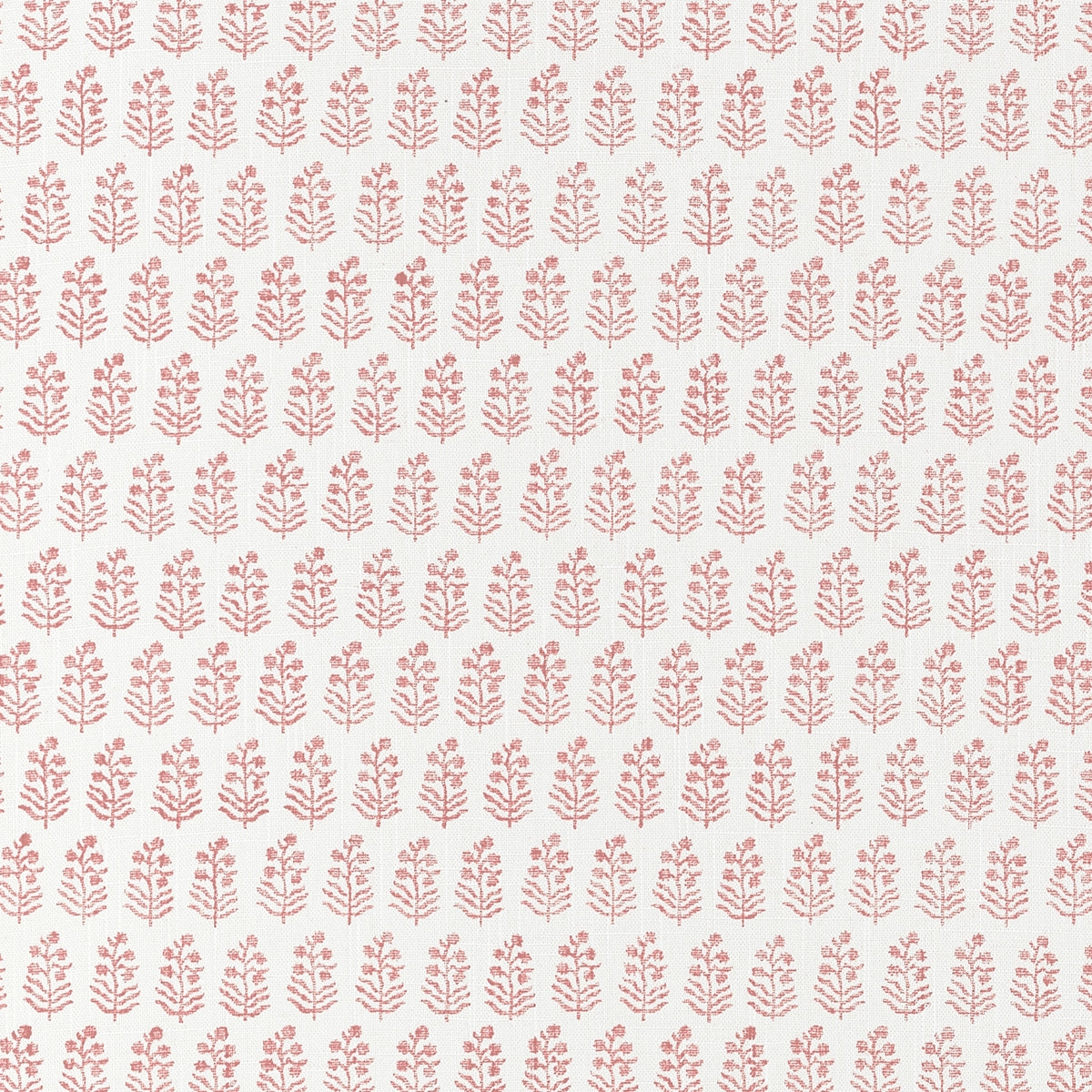 Anna French - CHLOE Wallpaper - Clermont Collection