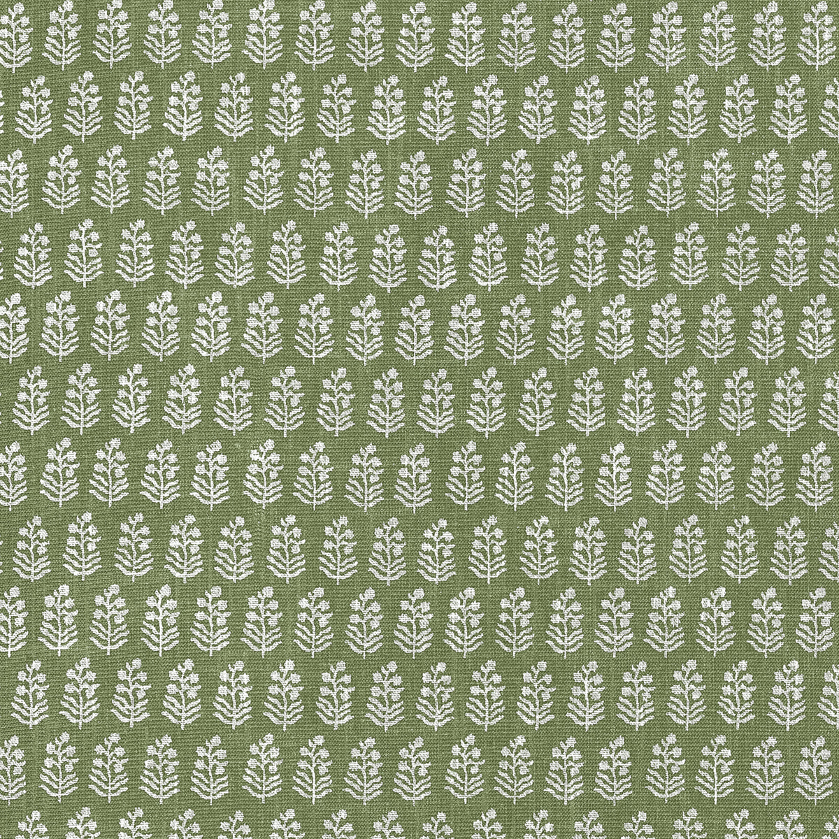 Anna French - CHLOE Wallpaper - Clermont Collection
