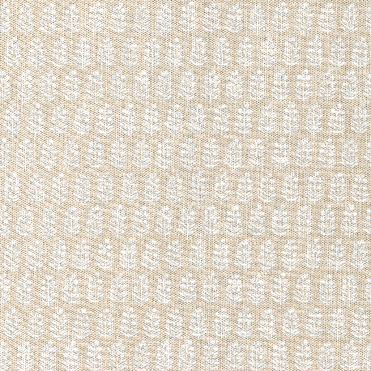 Anna French - CHLOE Wallpaper - Clermont Collection