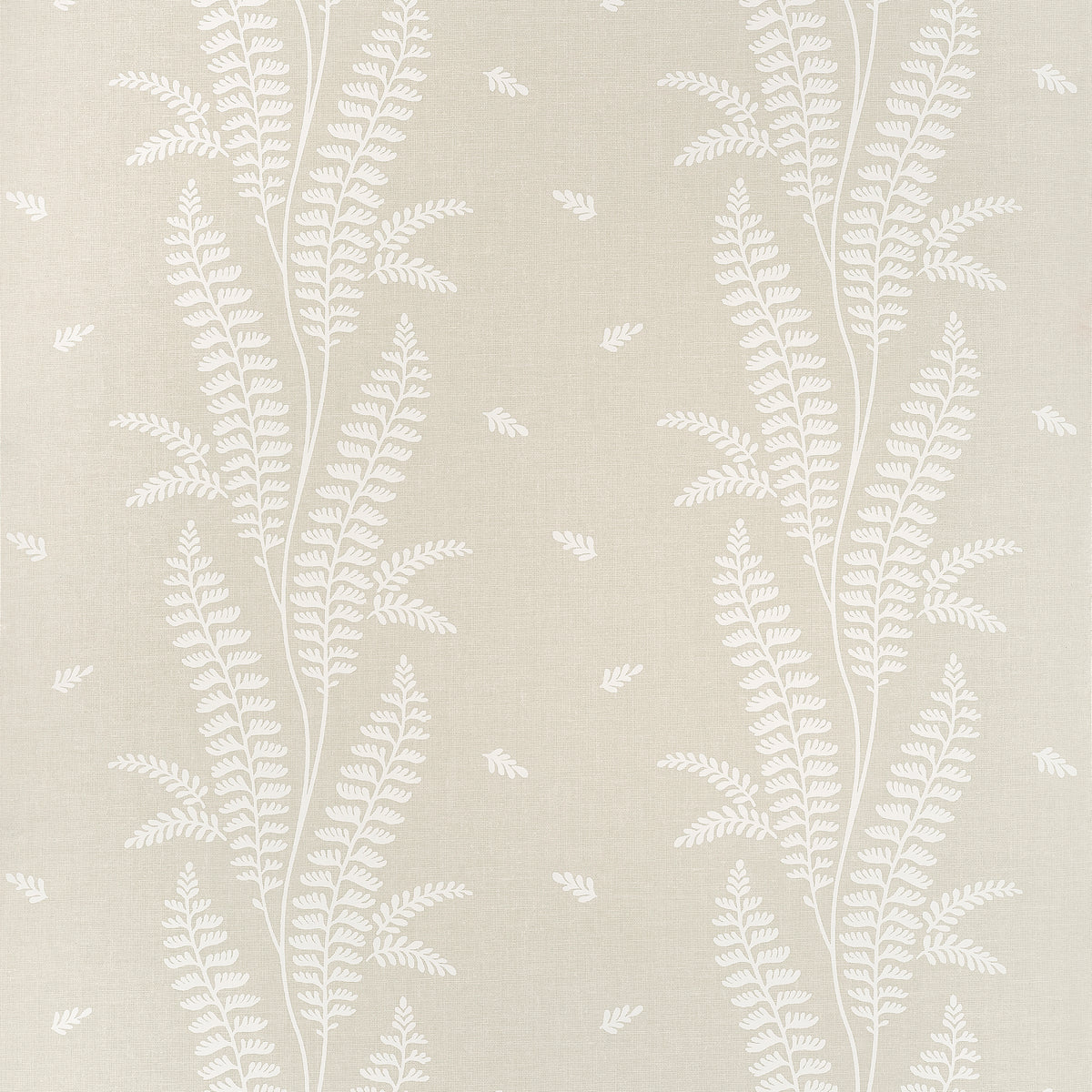 Anna French - ENSBURY FERN Wallpaper - Bristol Collection