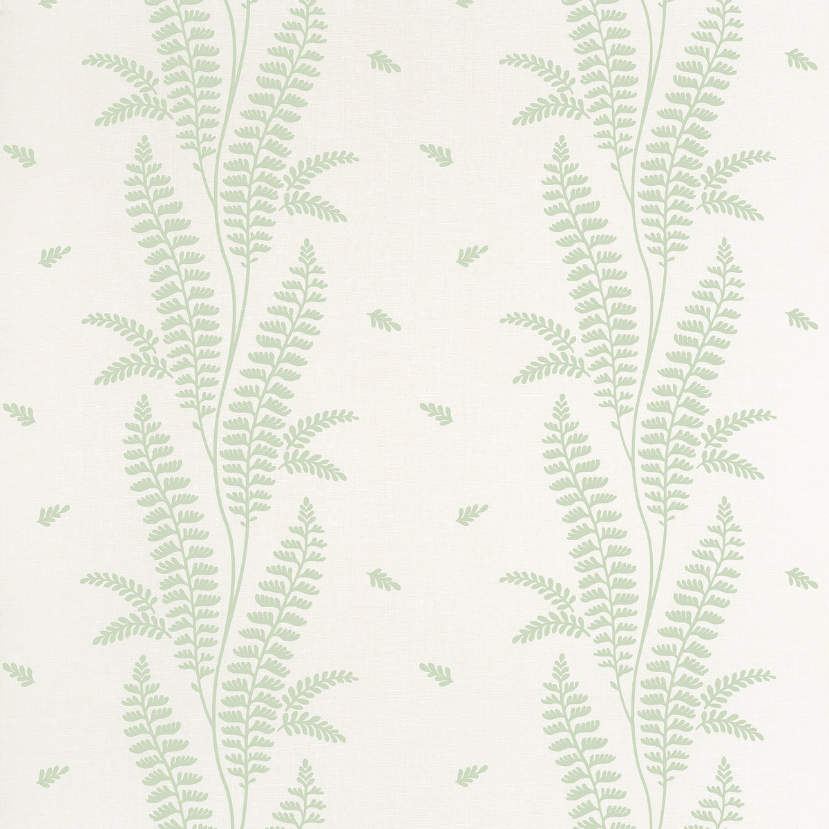 Anna French - ENSBURY FERN Wallpaper - Bristol Collection