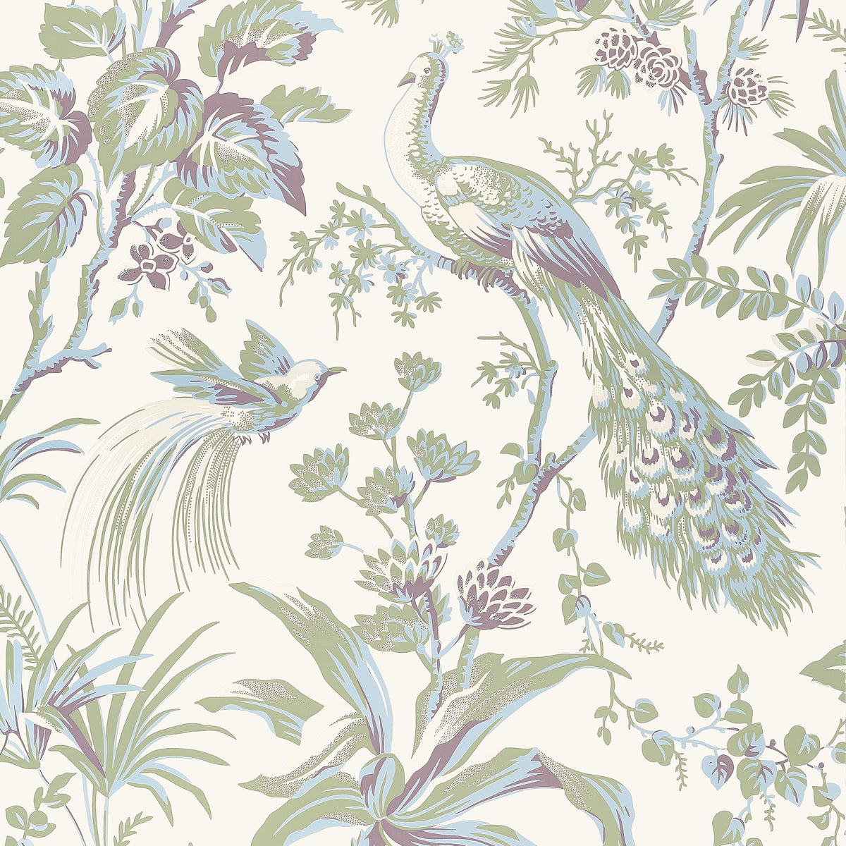 Anna French - PEACOCK TOILE Wallpaper - Bristol Collection