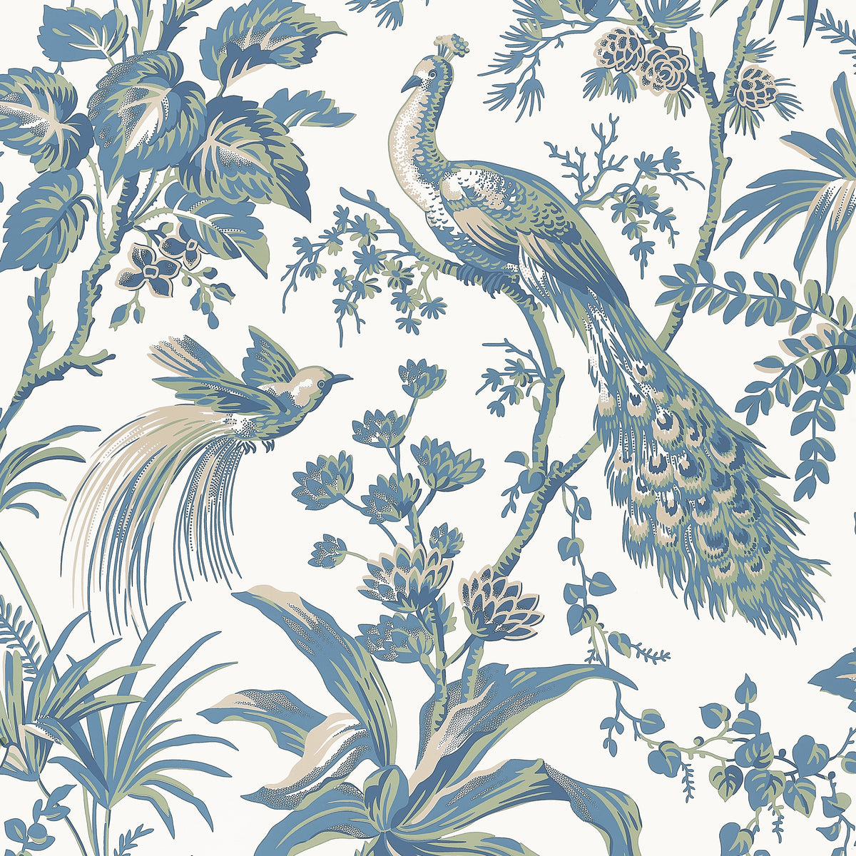 Anna French - PEACOCK TOILE Wallpaper - Bristol Collection