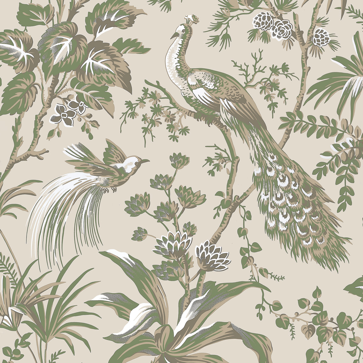 Anna French - PEACOCK TOILE Wallpaper - Bristol Collection