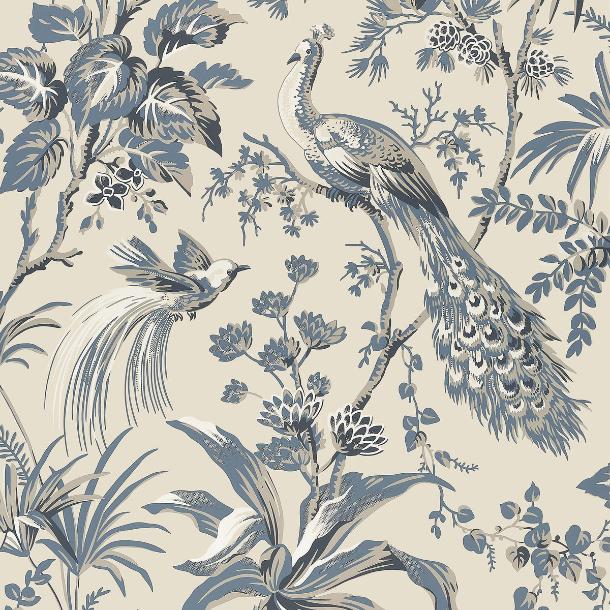 Anna French - PEACOCK TOILE Wallpaper - Bristol Collection