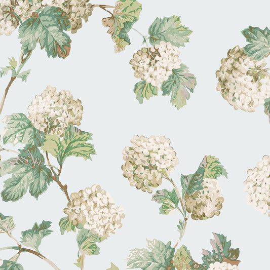 Anna French - SUSSEX HYDRANGEA Wallpaper - Bristol Collection