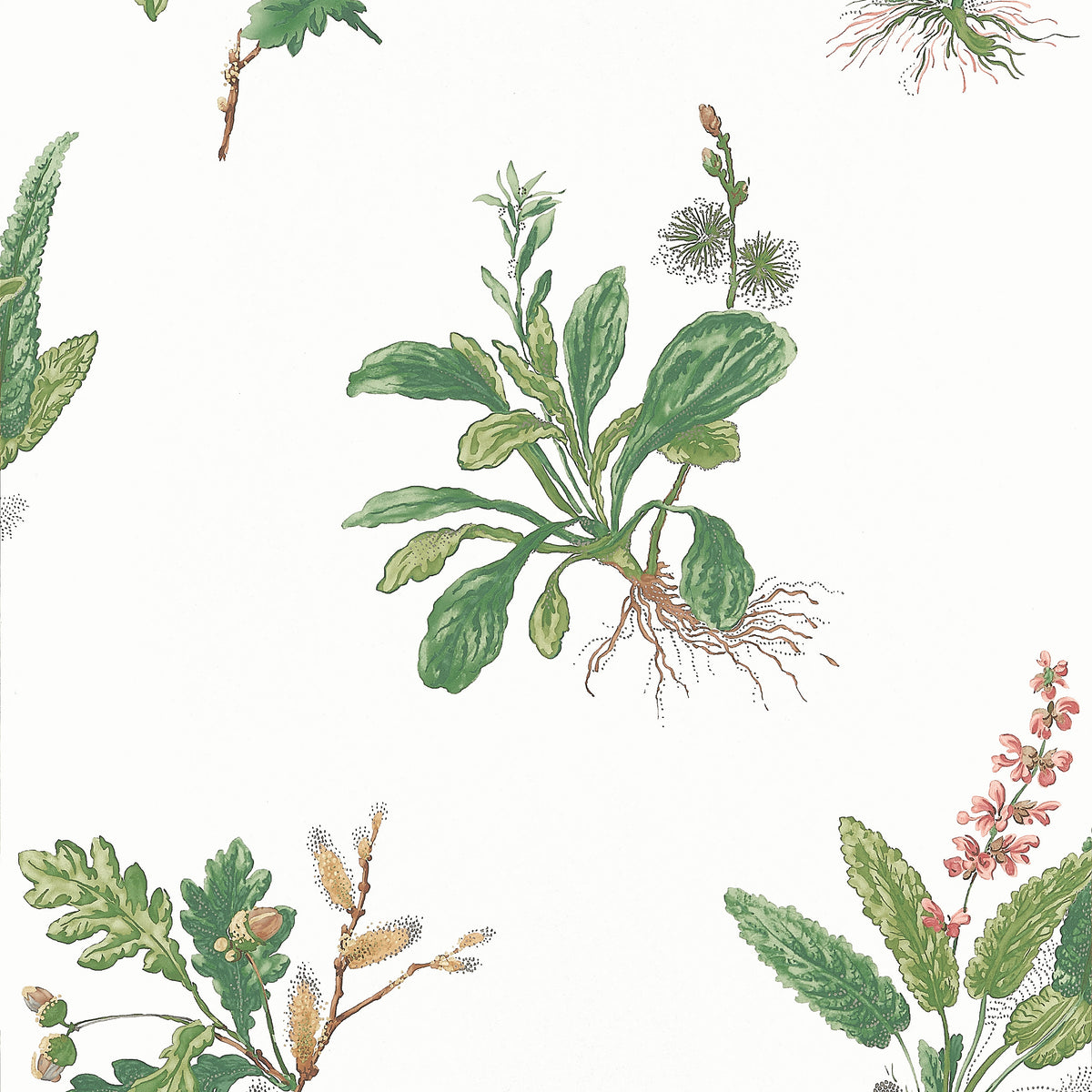 Anna French - WOODLAND Wallpaper - Bristol Collection
