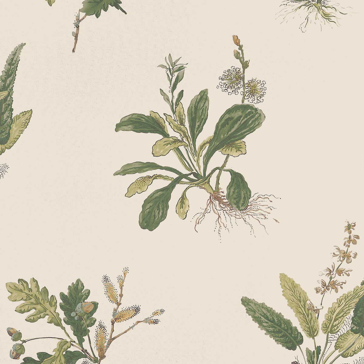 Anna French - WOODLAND Wallpaper - Bristol Collection