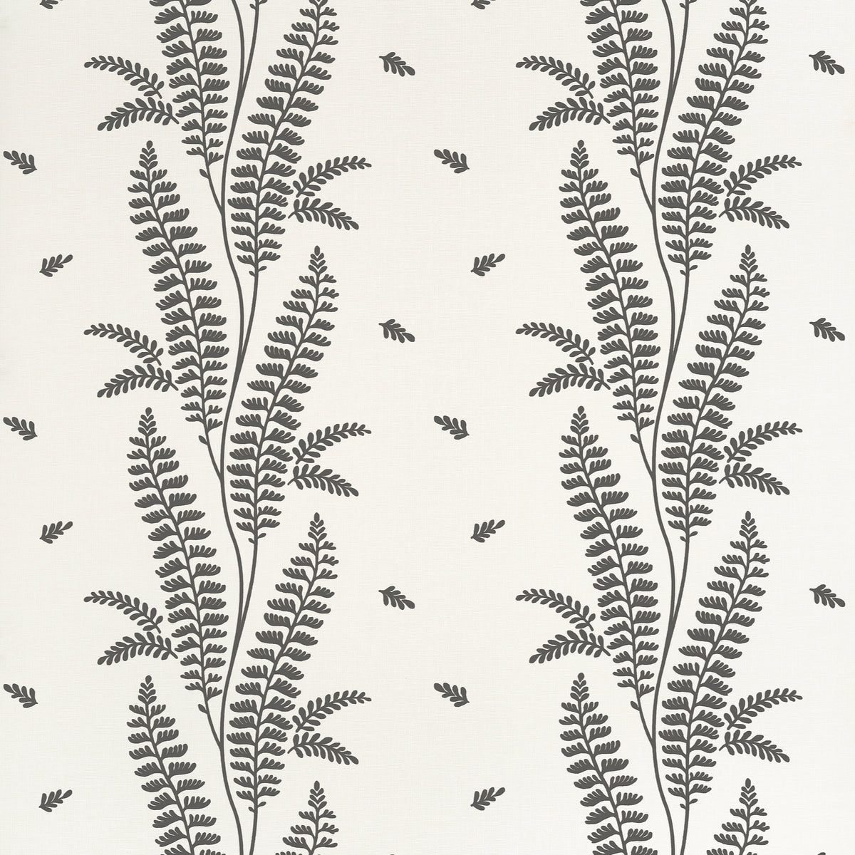 Anna French - ENSBURY FERN Wallpaper - Bristol Collection
