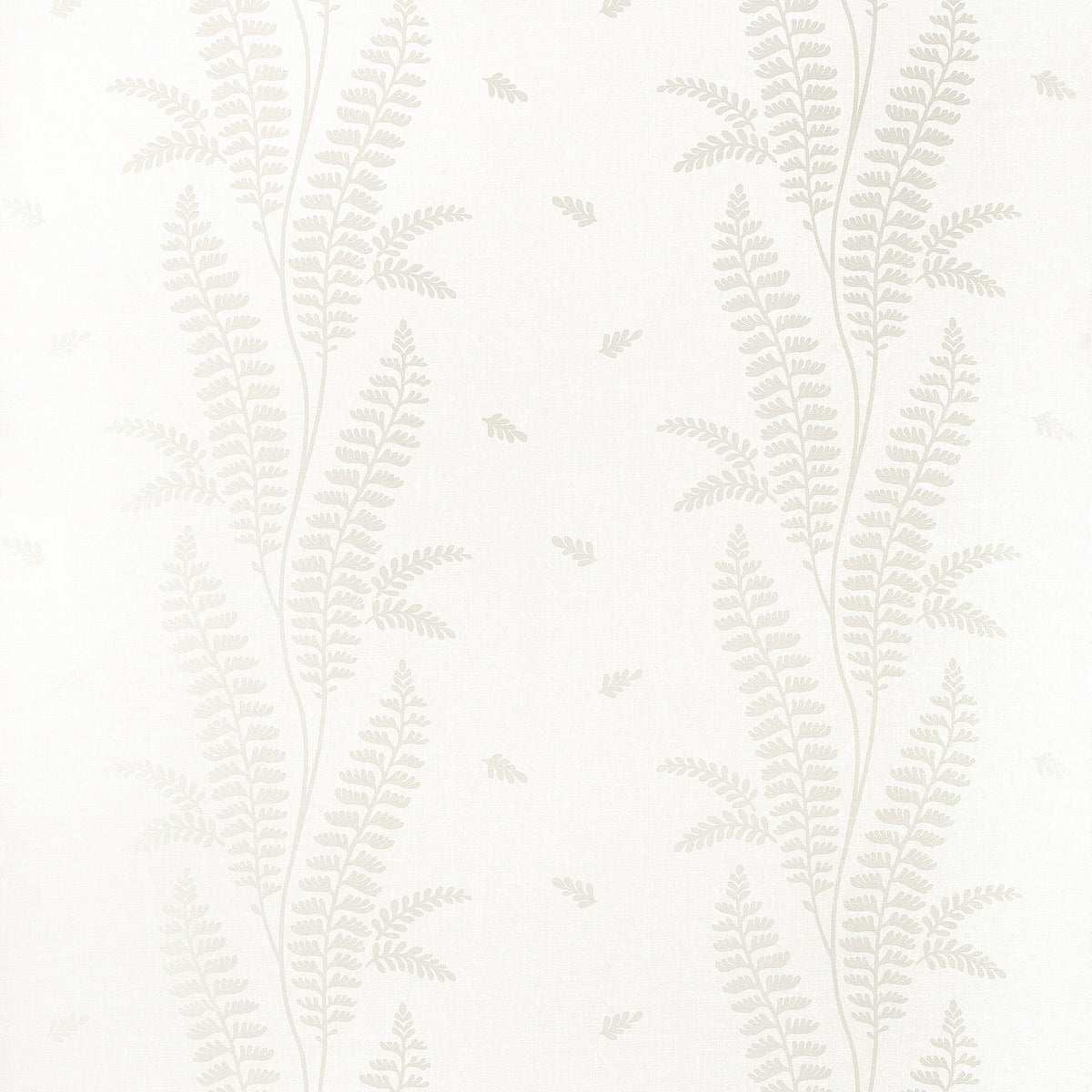 Anna French - ENSBURY FERN Wallpaper - Bristol Collection