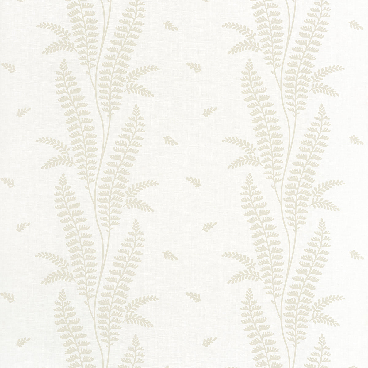 Anna French - ENSBURY FERN Wallpaper - Bristol Collection