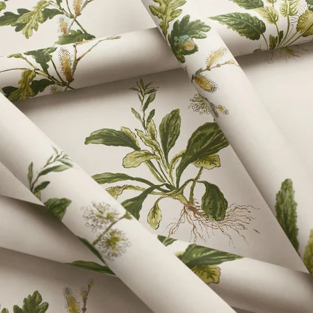 Anna French - WOODLAND Wallpaper - Bristol Collection