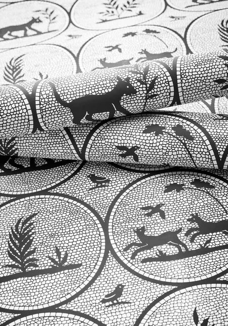 Thibaut - DOOLEY Wallpaper - Canopy Collection
