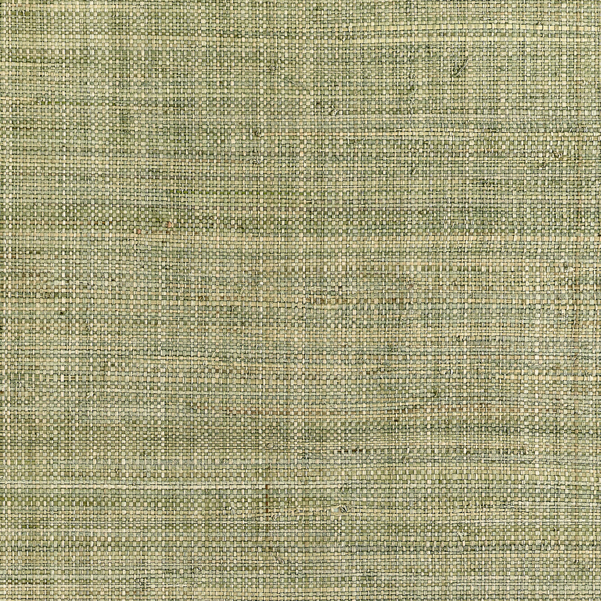 Thibaut - MACKINAC Wallpaper -  Grasscloth - Grasscloth Resource 7