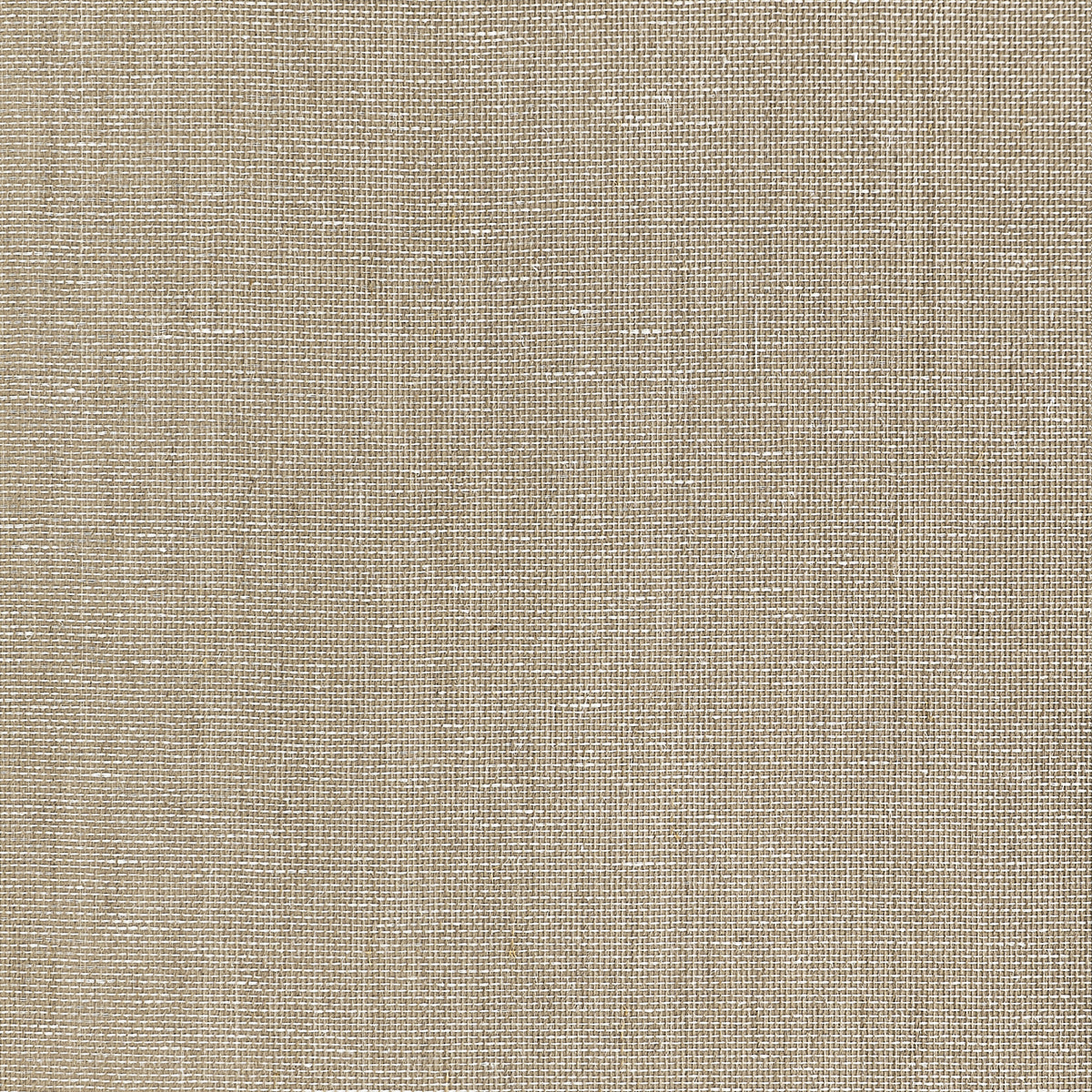 Thibaut - LAKE SHORE Wallpaper -  Grasscloth - Grasscloth Resource 7