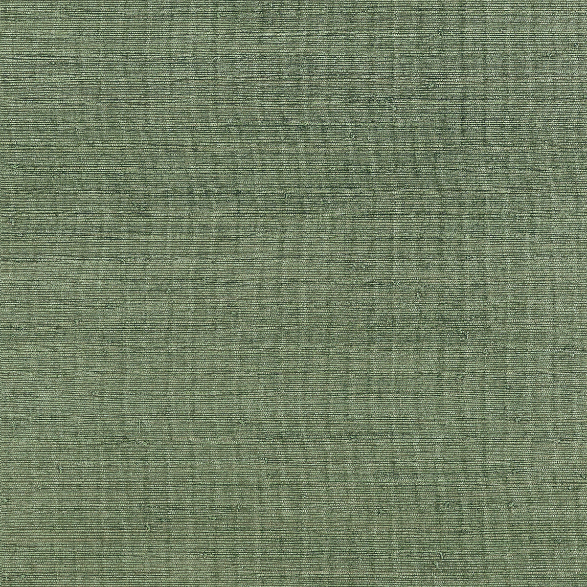Thibaut - MONTGOMERY WEAVE Wallpaper -  Grasscloth - Grasscloth Resource 7