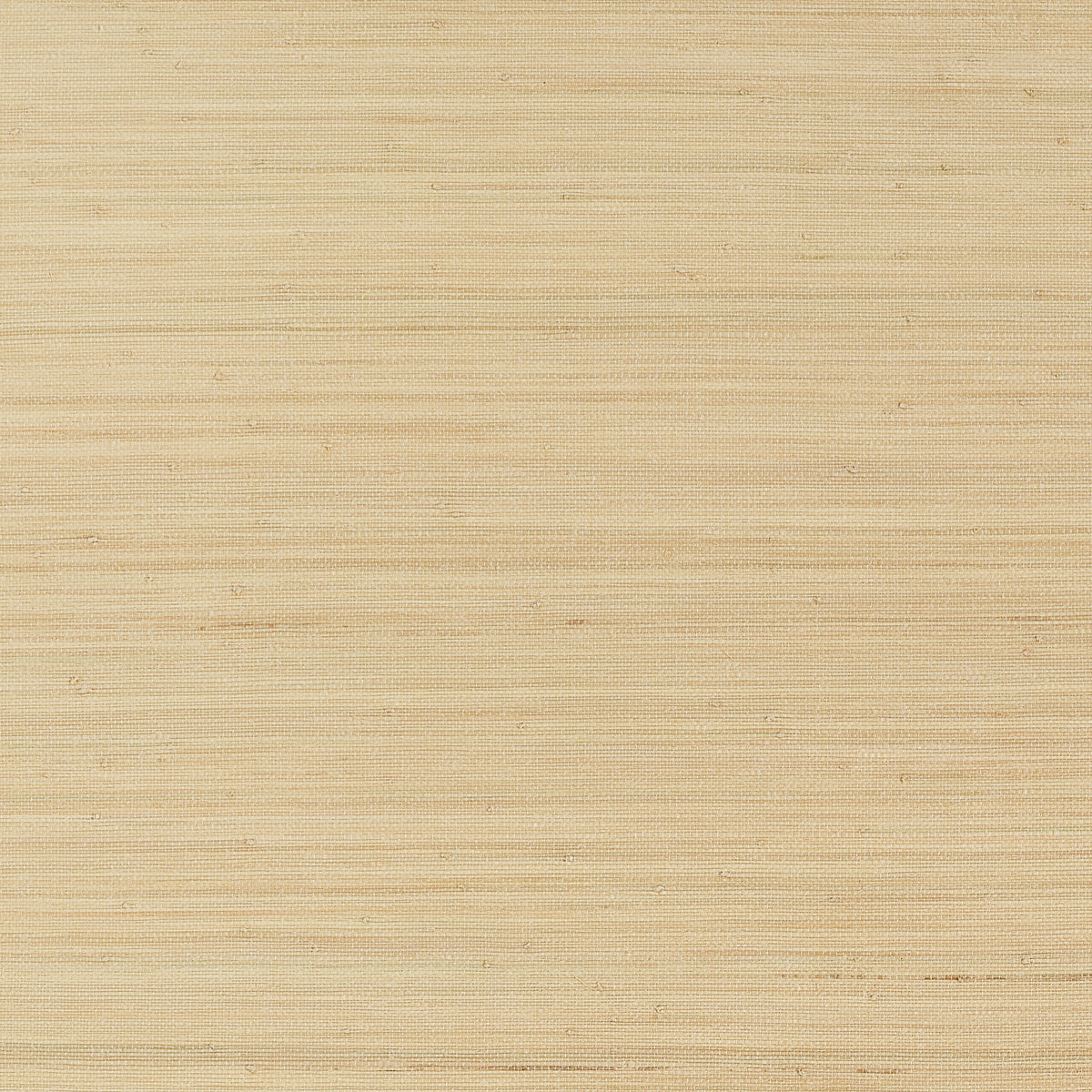 Thibaut - MONTGOMERY WEAVE Grasscloth Wallpaper - Grasscloth Resource 7