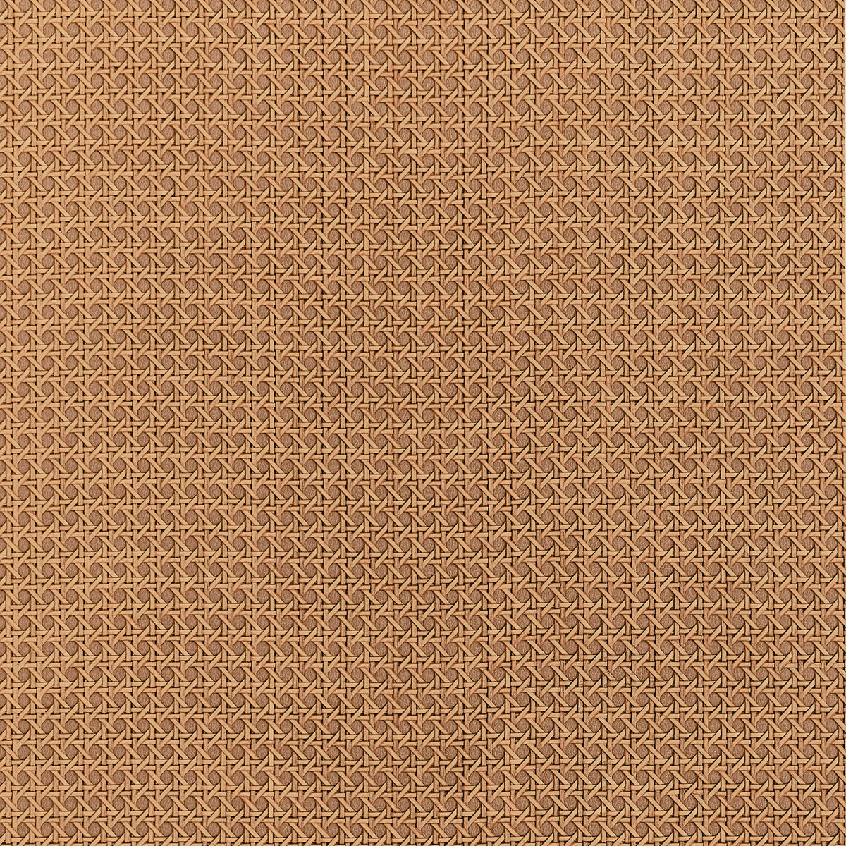 Thibaut - PAPER RATTAN Wallpaper -  Grasscloth - Grasscloth Resource 7