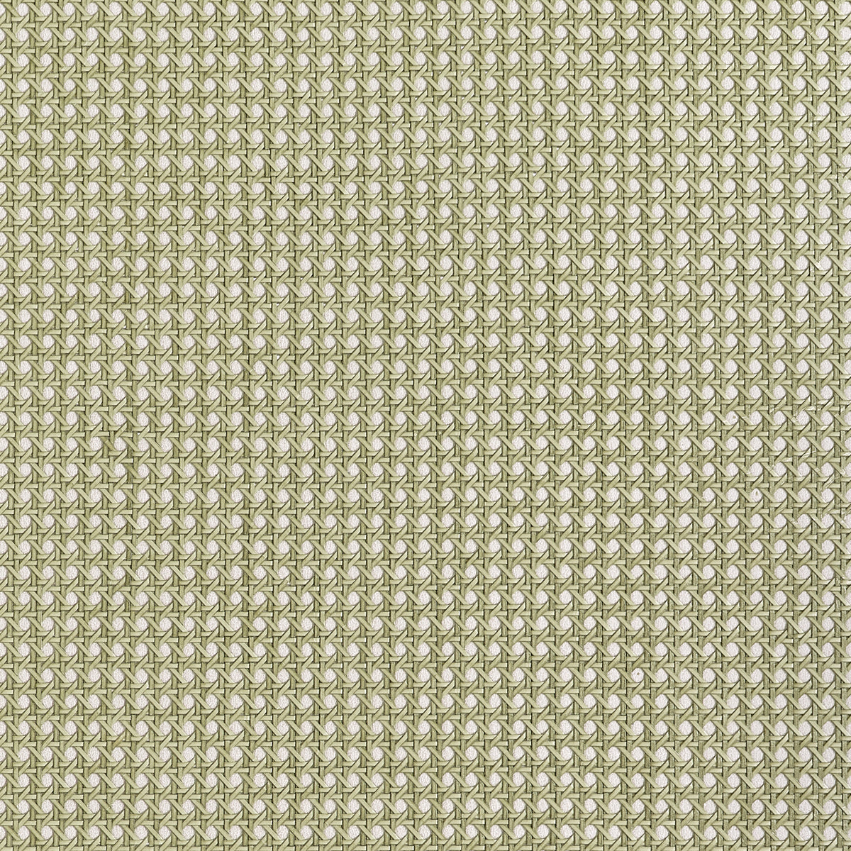 Thibaut - PAPER RATTAN Wallpaper -  Grasscloth - Grasscloth Resource 7
