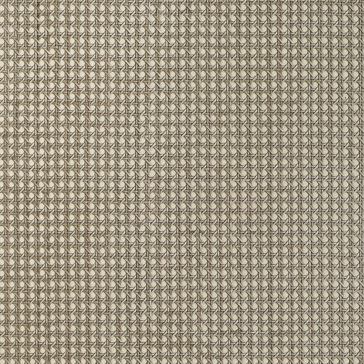 Thibaut - PAPER RATTAN Wallpaper -  Grasscloth - Grasscloth Resource 7