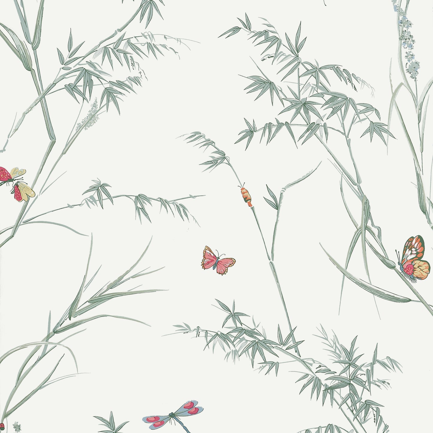VIRGINIA Wallpaper by Thibaut, Boxwood Collection in Double Rolls