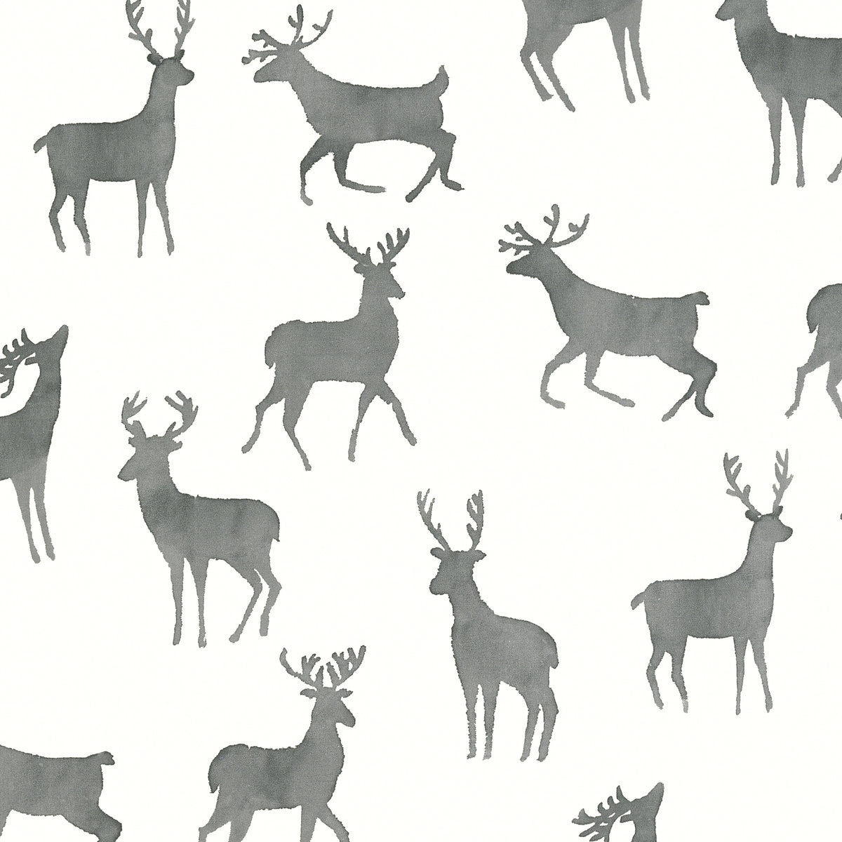 Thibaut - BUCKS Wallpaper - Vista Collection