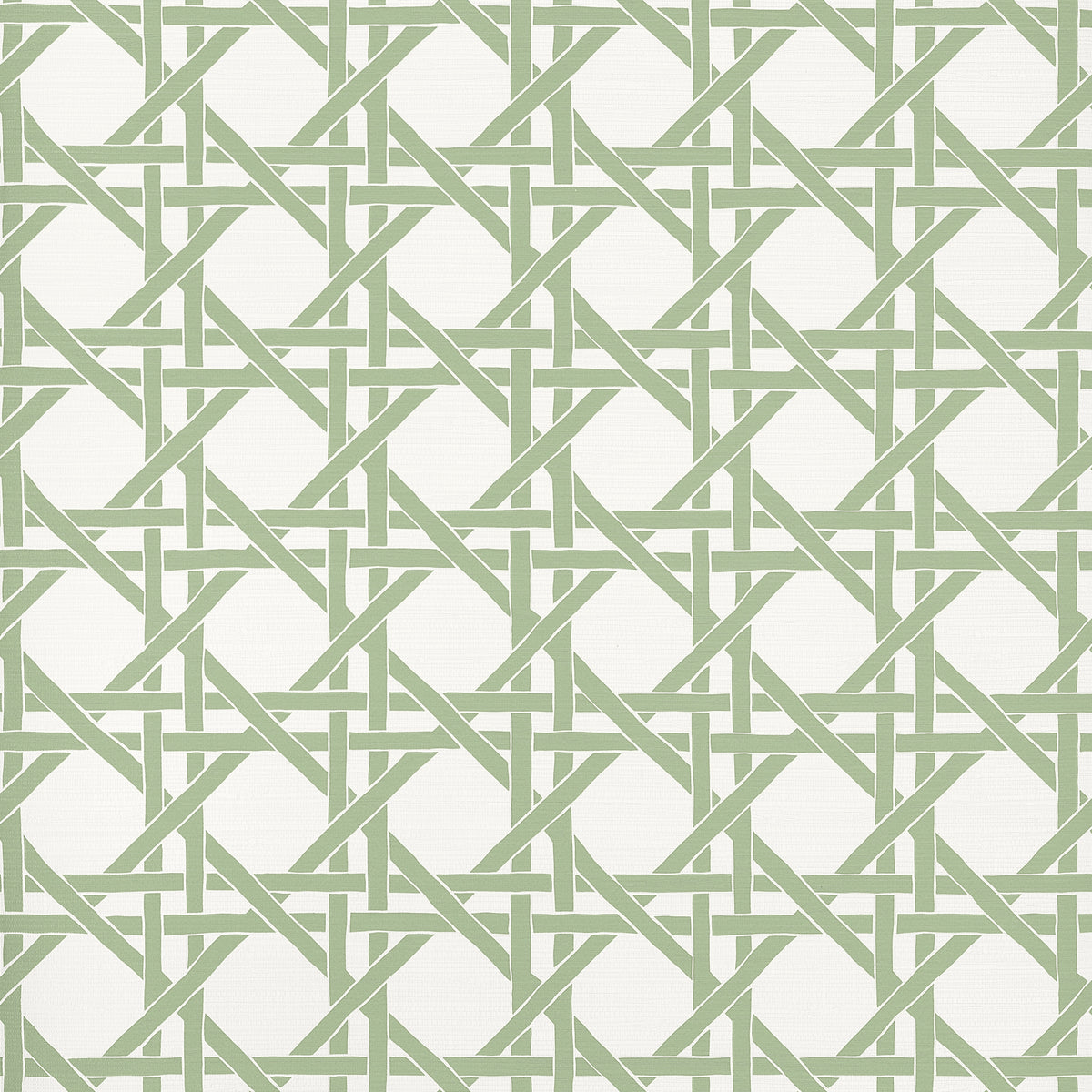Thibaut - CANARY TRELLIS Wallpaper -  Islander Collection