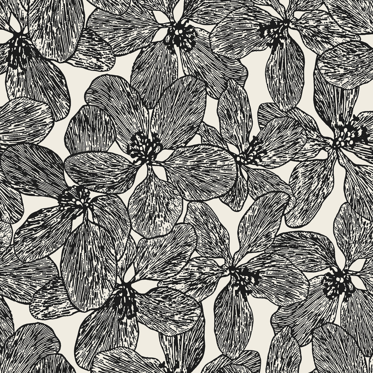 Thibaut - ISLAND ORCHID Wallpaper -  Islander Collection