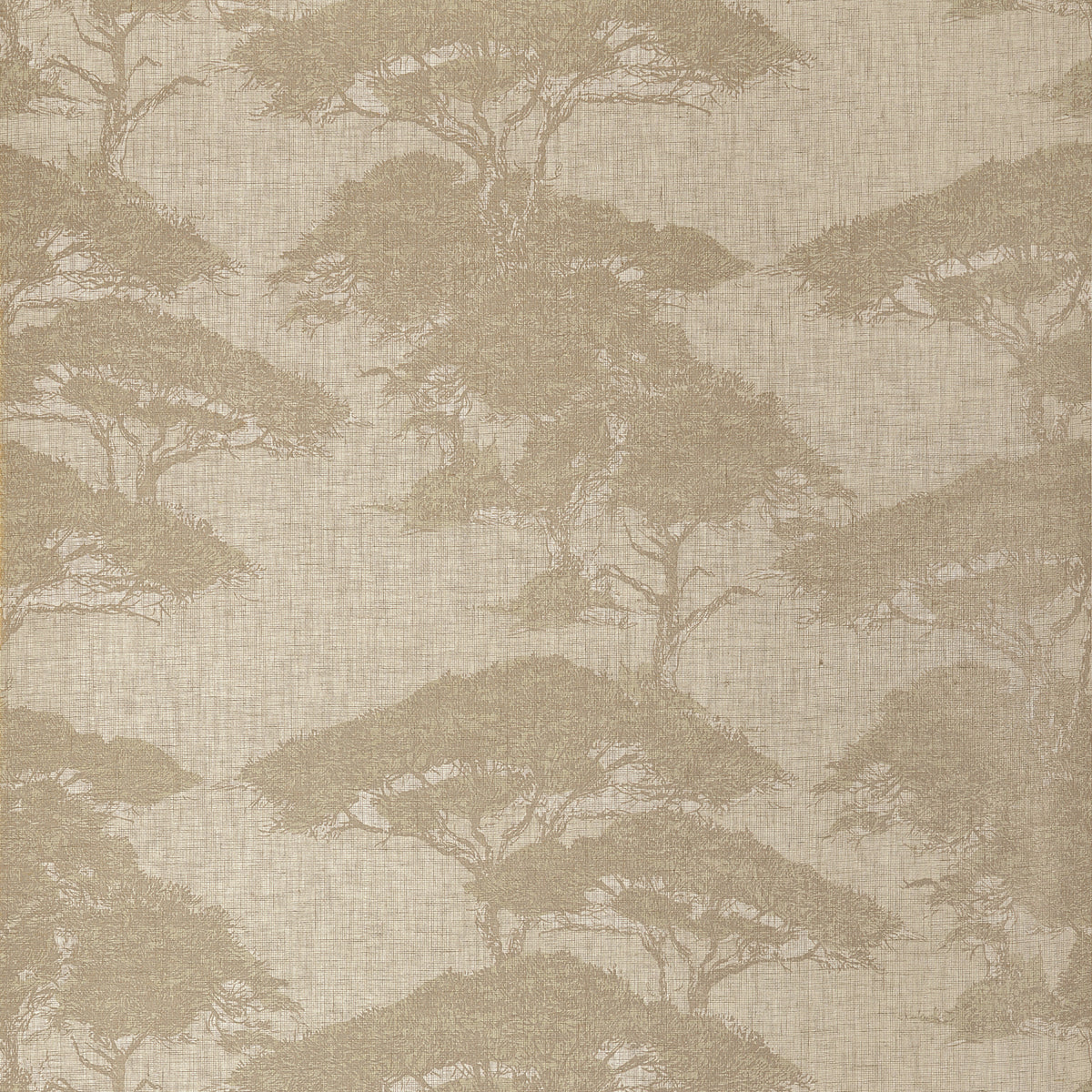 Thibaut - TORREY PINES Wallpaper -  Yutori Collection