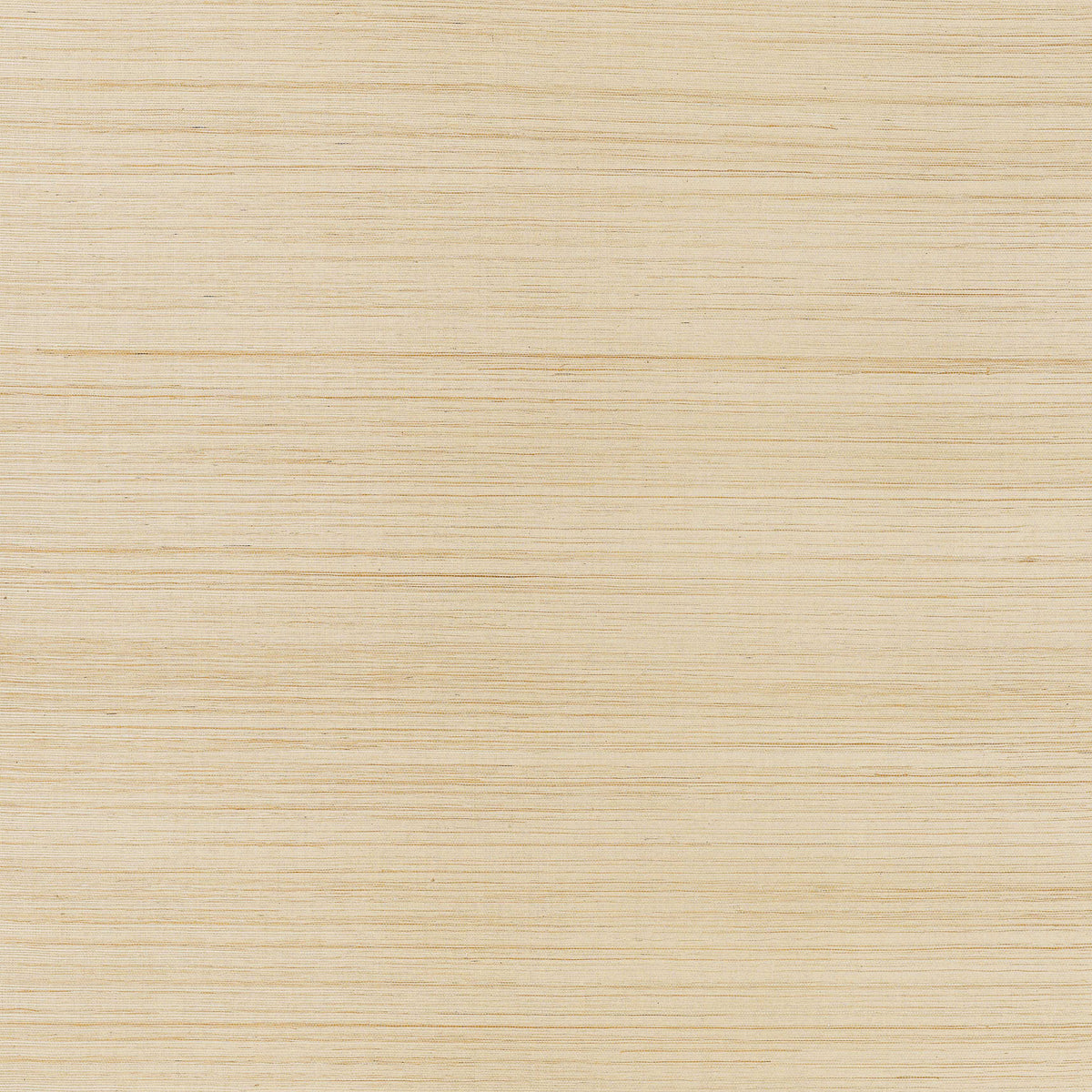 Thibaut Windward Sisal grasscloth wallpaper - Grasscloth Resource 6 - Straw