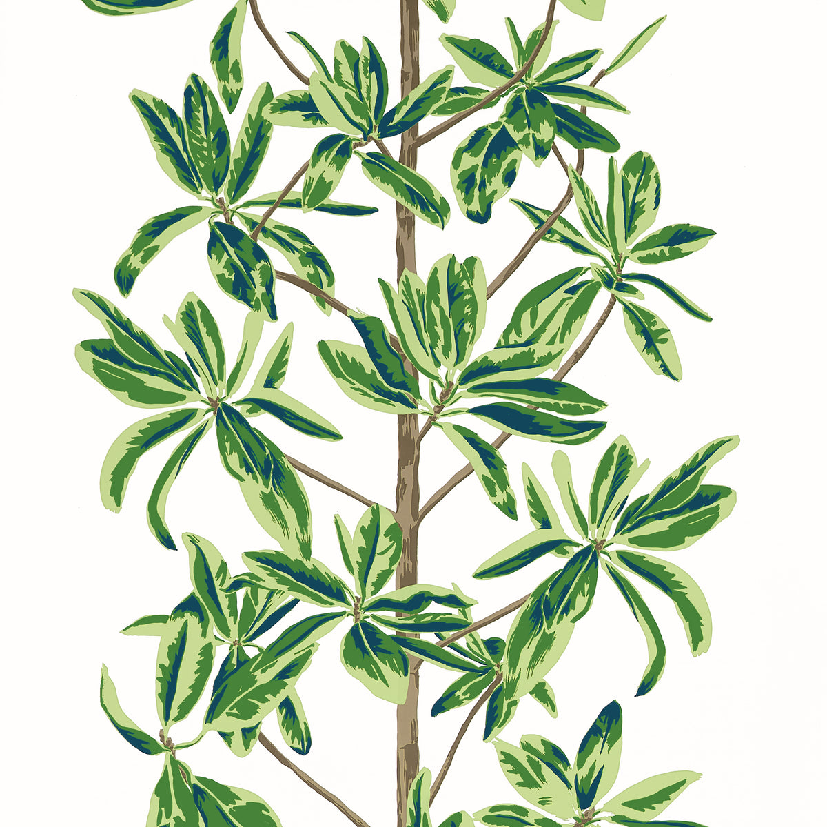 Thibaut - MANGROVE TREE Wallpaper - Wanderlust Collection